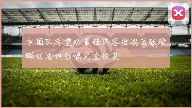 中国队有望以最强阵容出战若张瑷晖刘浩帆彭啸完全恢复