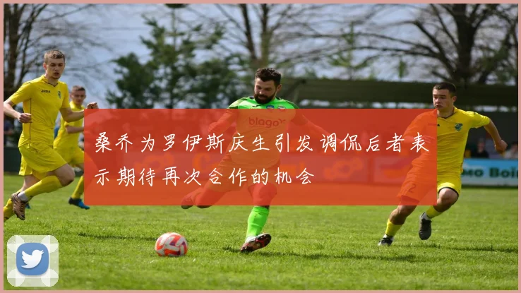 桑乔为罗伊斯庆生引发调侃后者表示期待再次合作的机会