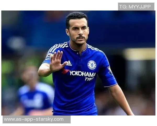 谢林汉姆评论切尔西放弃杰克逊的决定对佩德罗适应影响深远